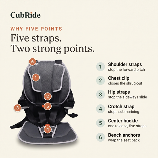 CubRide harness with its six points labelled: shoulder straps, chest clip, hip straps, crotch strap, center buckle, bench anchors